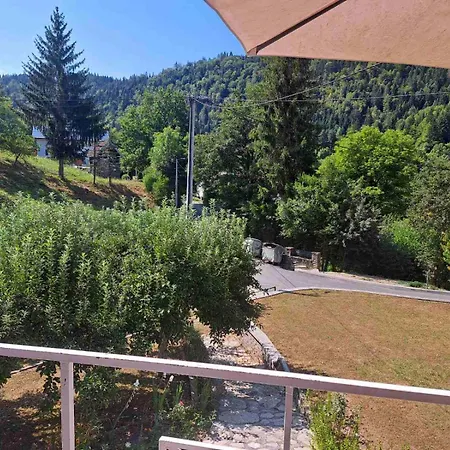 Oaza Zeleni Villa